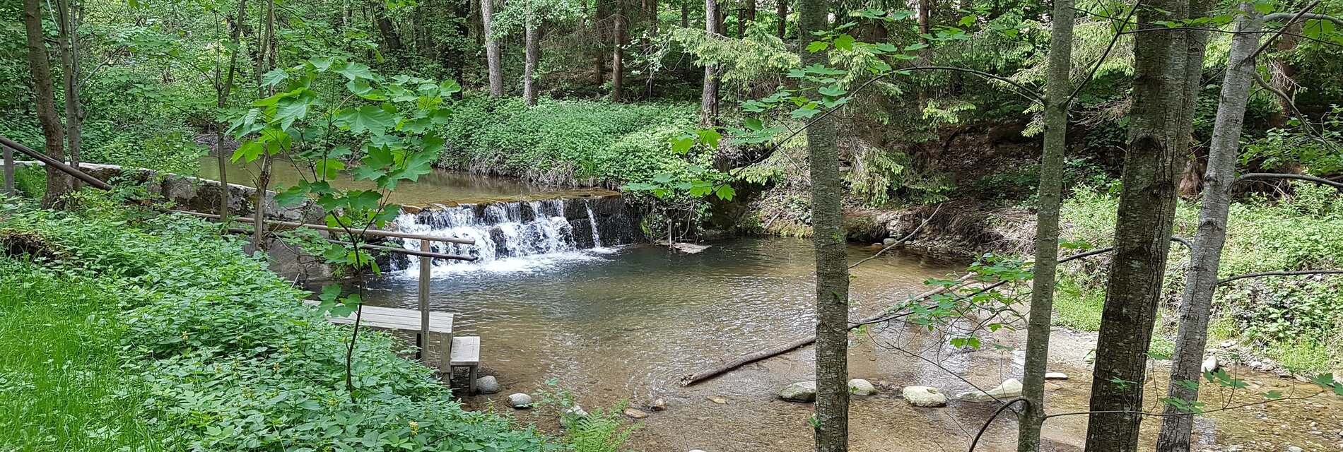 Bacherlebnis_Pöllau_ Oststeiermark | © Naturpark Pöllauer Tal
