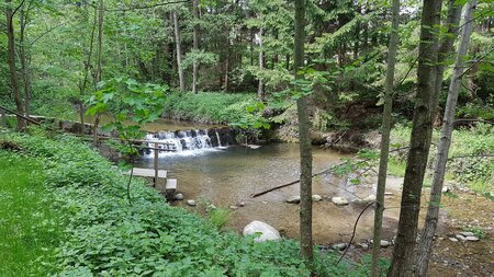 Bacherlebnis_Pöllau_ Oststeiermark | © Naturpark Pöllauer Tal