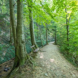 Naturpark Erlebnisrundwanderweg_Pöllau_Oststeier | © Naturpark Pöllauer Tal