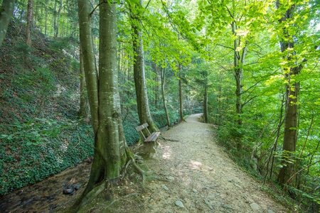 Naturpark Erlebnisrundwanderweg_Pöllau_Oststeier | © Naturpark Pöllauer Tal