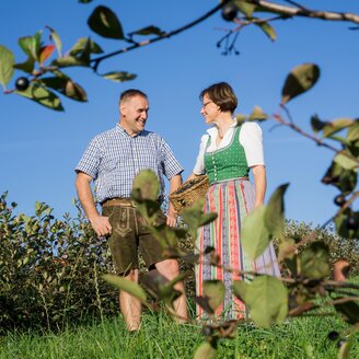 Nickls Aronia_Familie_Oststeiermark | © Familie Ponsold