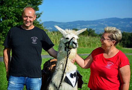 FamilieGanster_Alpakaspoellauertal_Oststeiermark | © Pöllauertal Alpakas