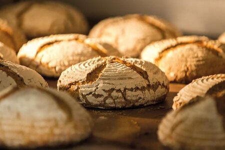Frisches Brot