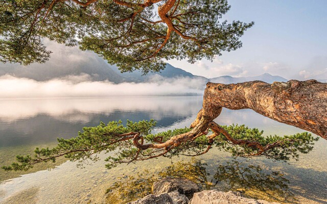 Schifffahrt, Grundlsee, Forschungsschiff | © Schifffahrt Grundlsee