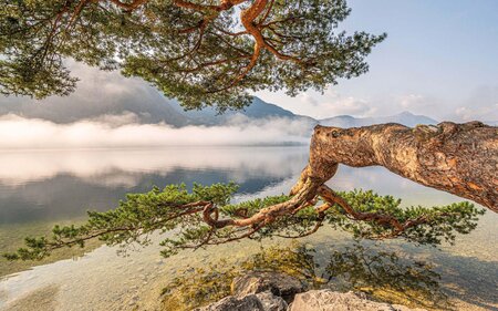 Schifffahrt, Grundlsee, Forschungsschiff | © Schifffahrt Grundlsee