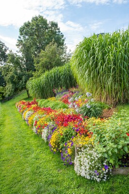 Blumen am Themengarten Pöllauberg_Oststeiermark | © ©Helmut Schweighofer