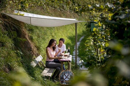 Picknick | © © TVB Südsteiermark – Tom Lamm