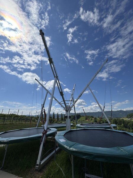 Titelbild | © Weingut Skringer | Weisch Manuela