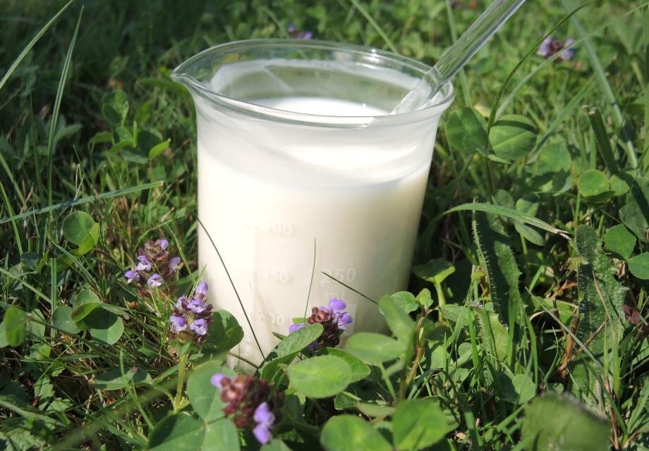 Creme Lotion (12)
