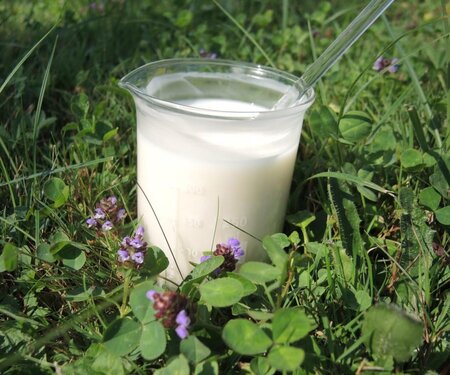 Creme Lotion (12)
