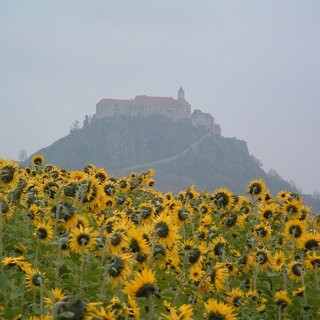 Entlang der Wanderroute