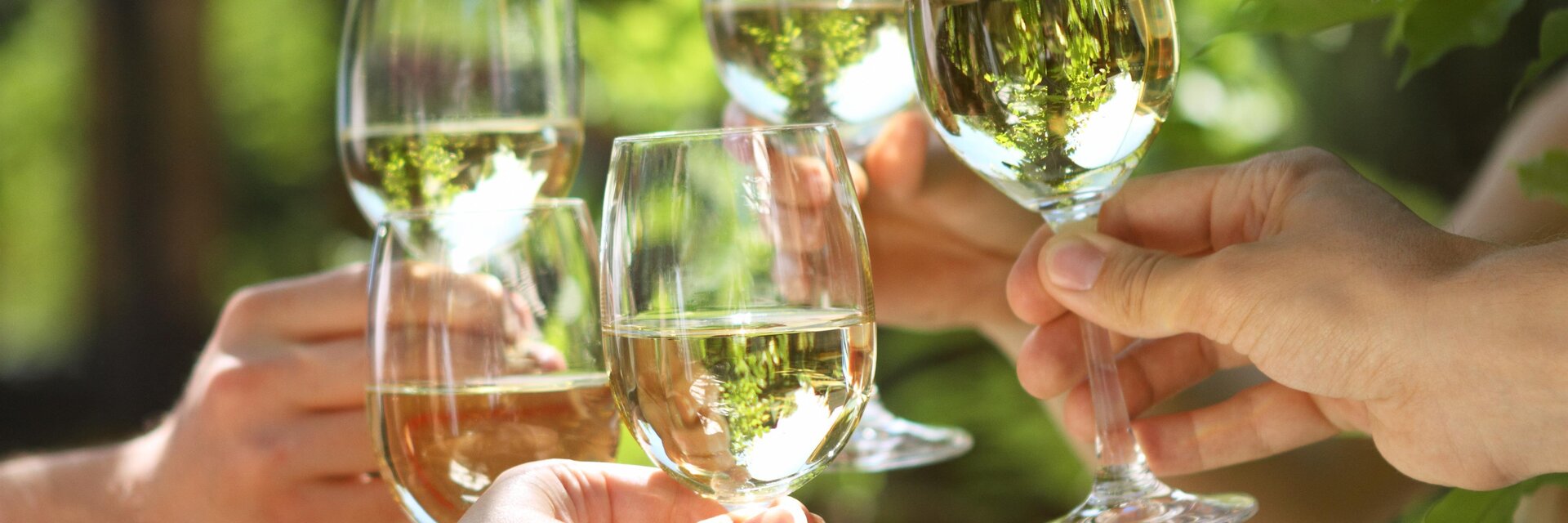 Winzertag Schönegg_Pöllau_Oststeiermark | © Fotolia