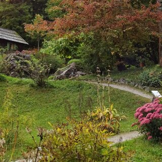 Alpine Garden Bad Aussee | © Alpengarten