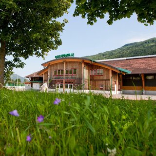 Greimhalle