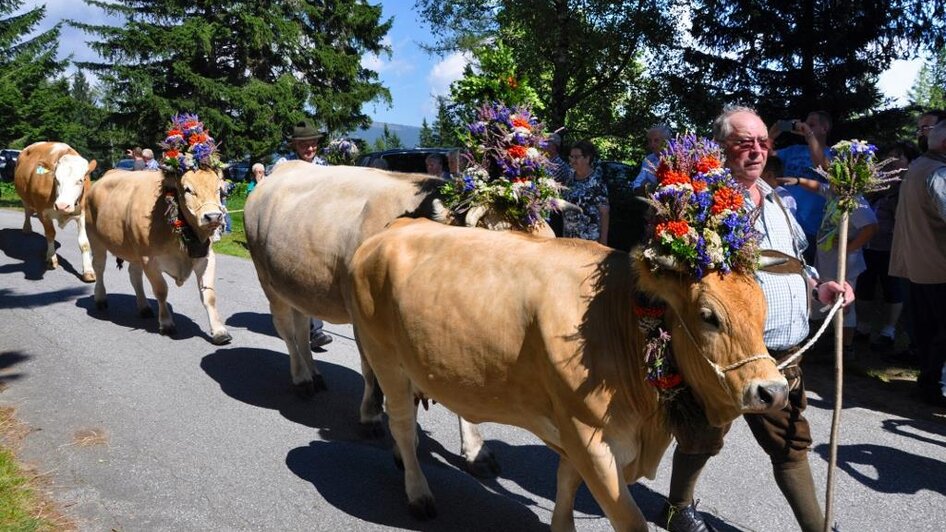 Almabtrieb_Kühe_Oststeiermark | © Maria Fank