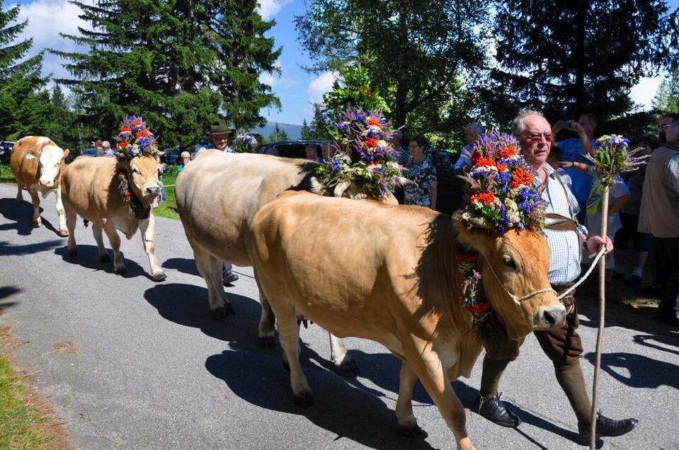 Almabtrieb_Kühe_Oststeiermark | © Maria Fank