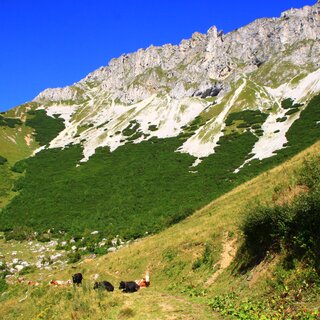 Wanderung am Panoramaweg.