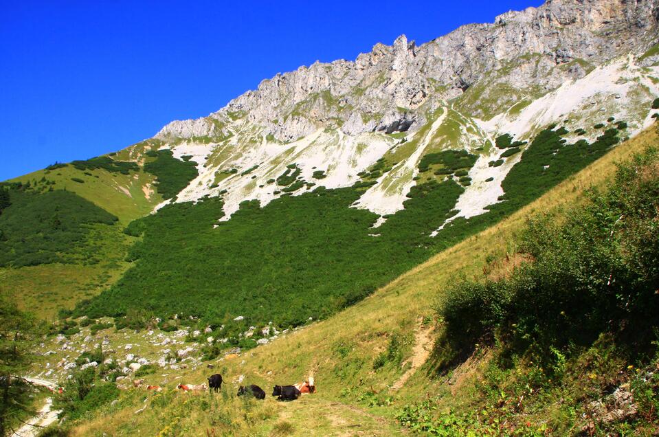 Wanderung am Panoramaweg.