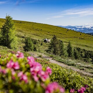Almrausch-Murtal-Steiermark