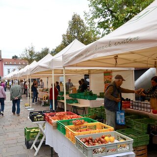 Bauernmarkt | © Stadtgemeinde Fürstenfeld