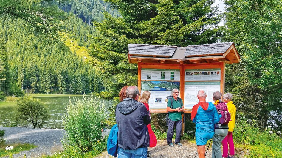 Klosterwald-Baumbestattung-Murtal-Steiermark | © Klosterwald GmbH