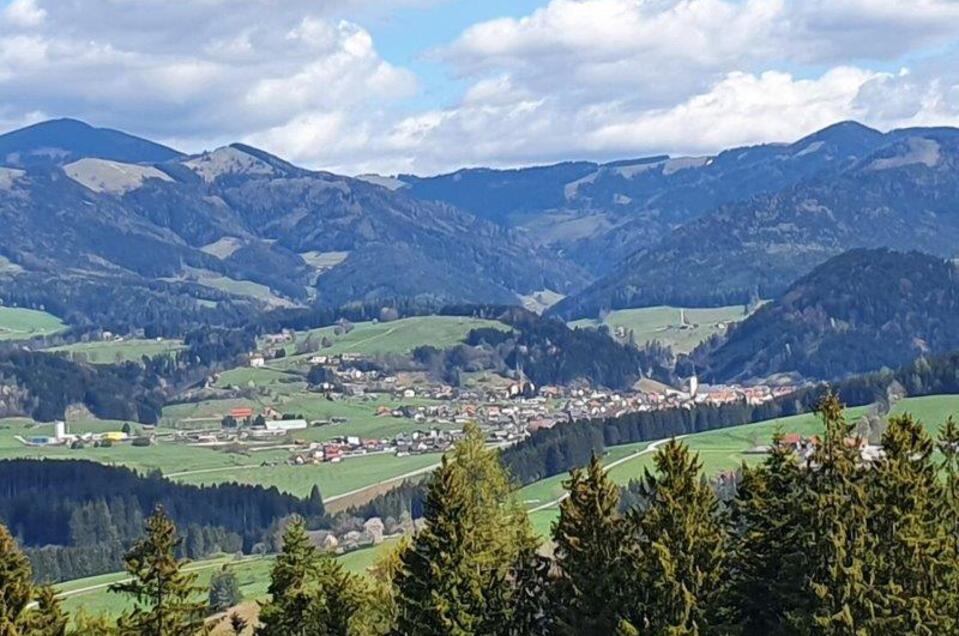 Ausblick Burgstaller Höhe_Almenland | © Naturpark Almenland