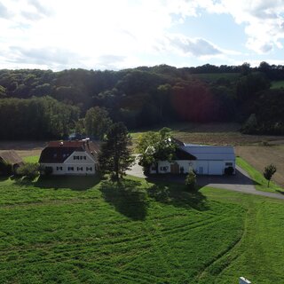 Weingut Pock | © Weingut Pock