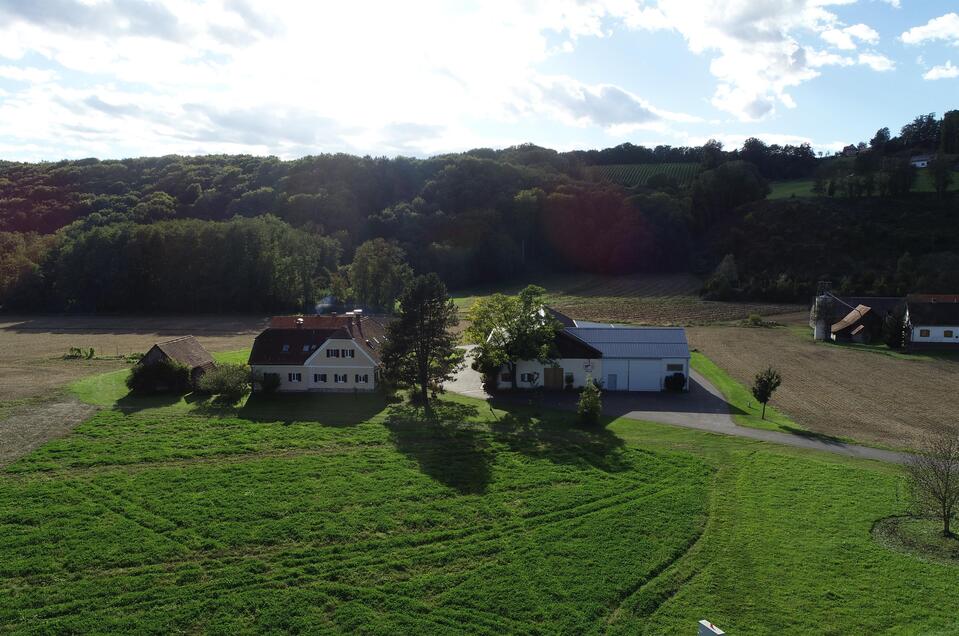 Weingut Pock | © Weingut Pock
