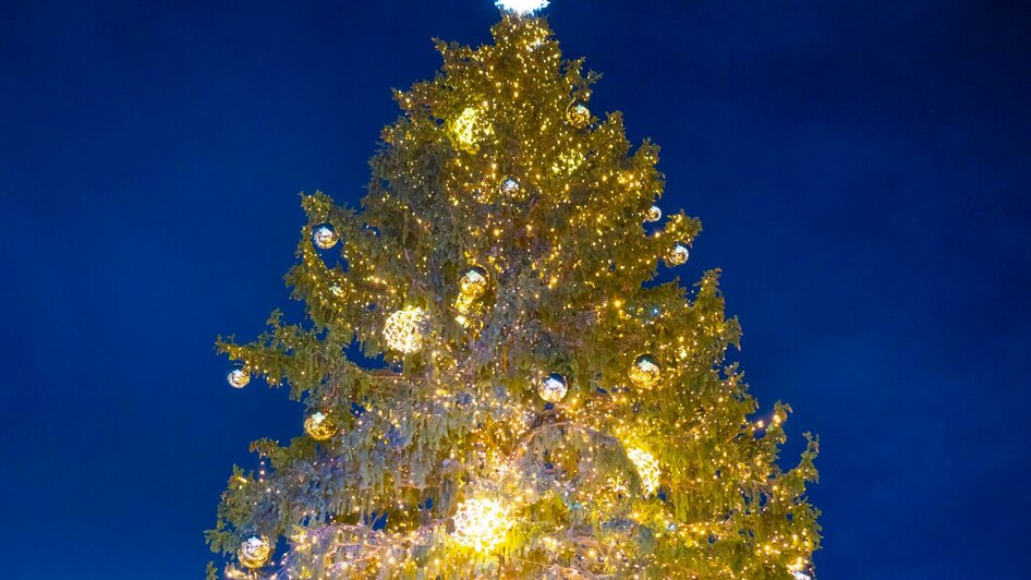 Christbaum am Grazer Hauptplatz | © Stadt Graz - Foto Fischer Christbaum am Grazer Hauptplatz | © Stadt Graz - Foto Fischer