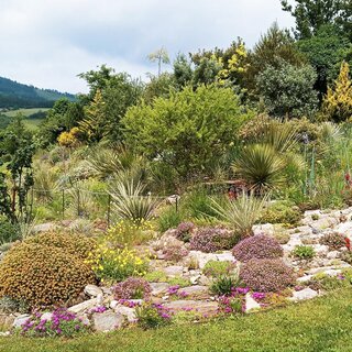 Flowering desert garden_Eastern Styria | © Familie Gußmagg