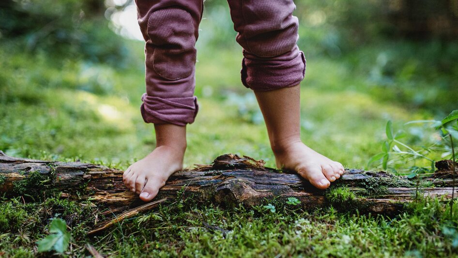 A wondrous journey into the forest - guided hike - Impressionen #2.5