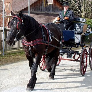 Ewald Schlagbauer_Pöllau_Eastern Styria | © Kutschen & Fahrbedarf Schlagbauer