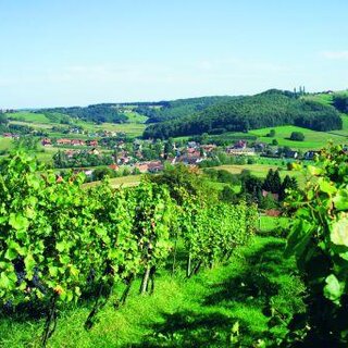 Weinberge | © Thermen- & Vulkanland