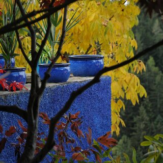Sulamith Garden_Colour Play_Eastern Styria | © Sulamith Garten