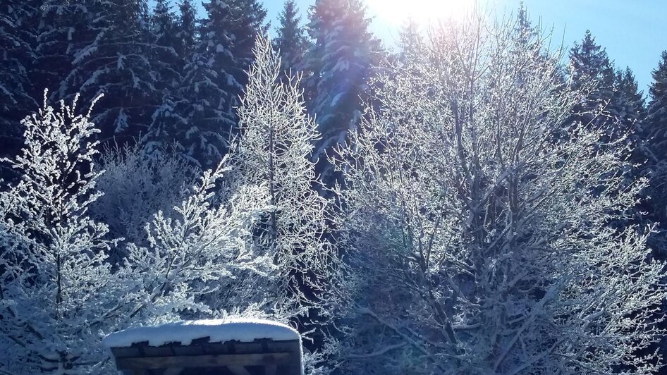 Frühstücken auf der Blaa Alm - Impressionen #2.4