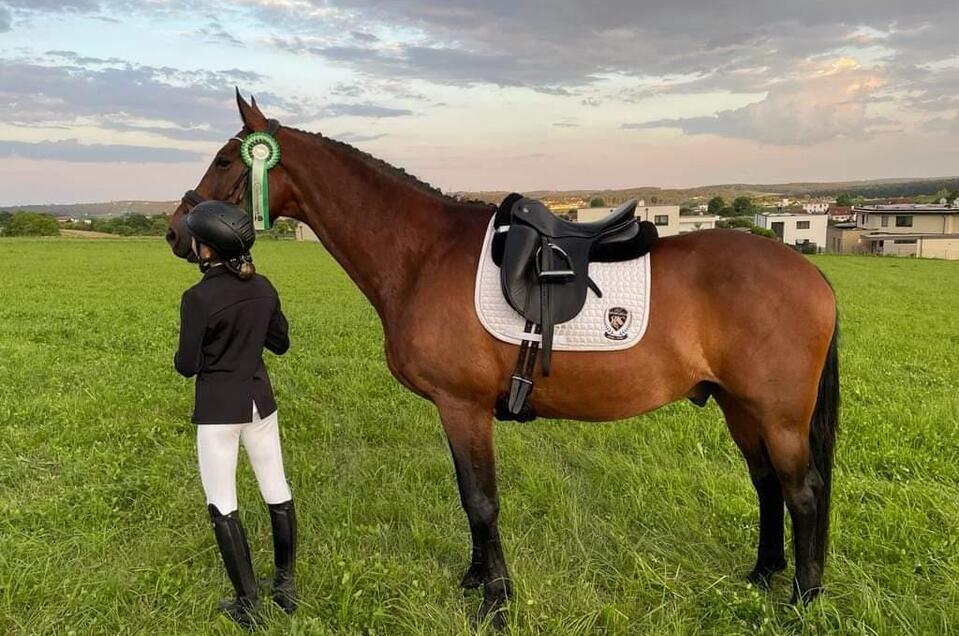 Hartberger Reitturniere_Oststeiermark | © Oststeiermark Tourismus
