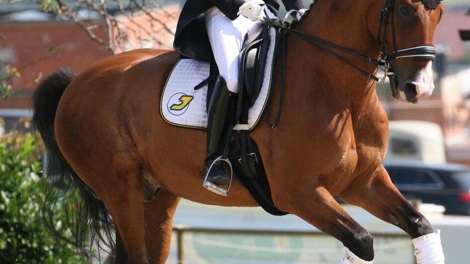 Hartberger Reitturniere_Juliane Jerich | © Jerich
