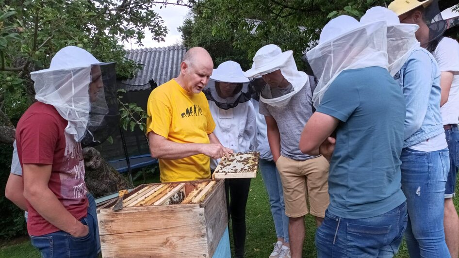 Honig Bienen