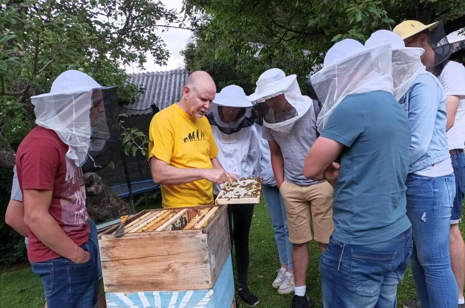 Honig Bienen