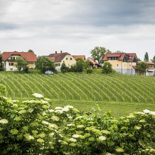 Weinhof Reichmann | © Weinhof Reichmann