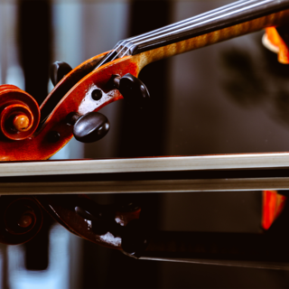 Violione | © Foto Freisinger