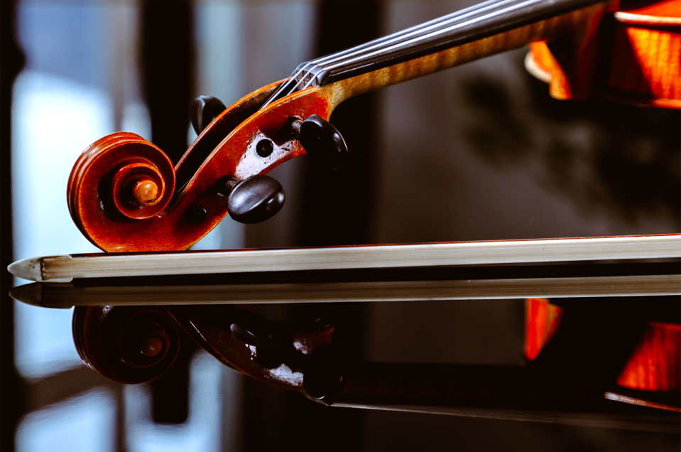 Violione | © Foto Freisinger