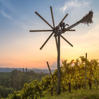 © TVB Südsteiermark – Wolfang Jauk (6) | © © TVB Südsteiermark