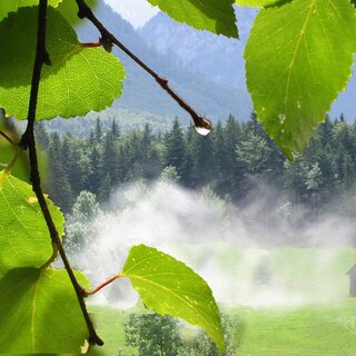 Dampfende Wiese | © TVB Ausseerland - Salzkammergut_Eva Griese
