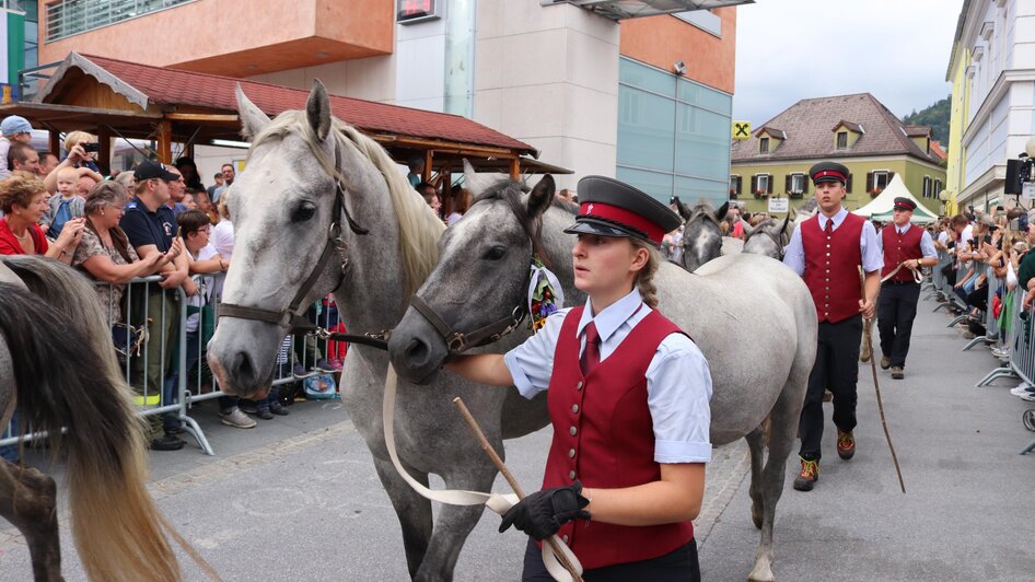 Almabtrieb in Köflach | © Robert Cescutti