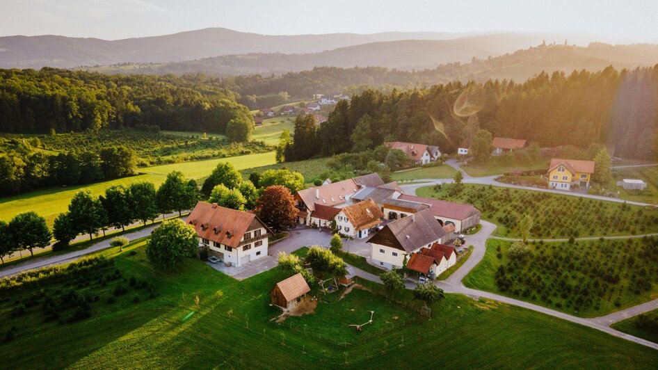 Live music & wine beim Krainerhof - Impressionen #2.2