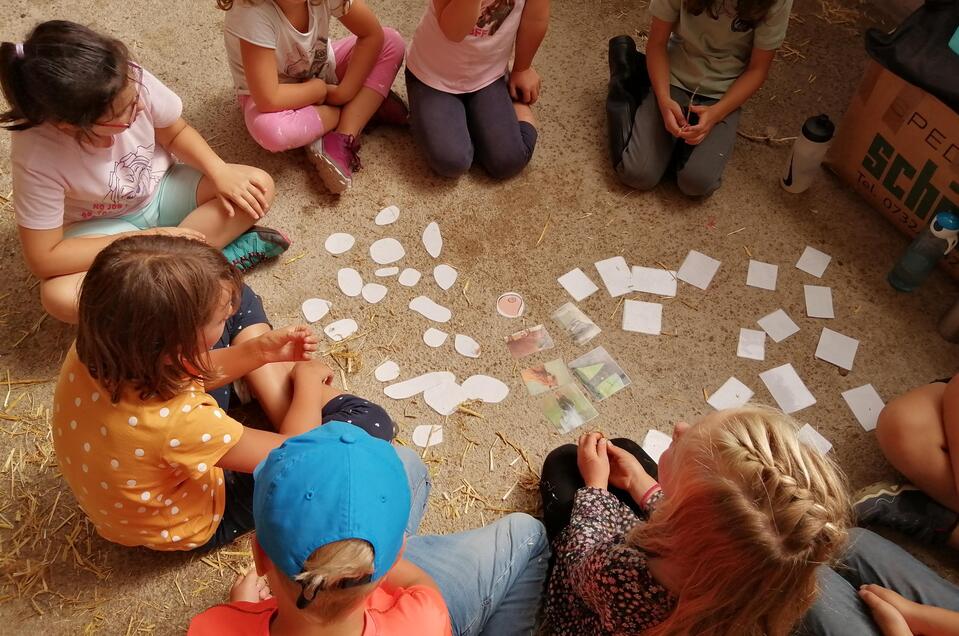 ABC-Hufis-Spiele-Murtal-Steiermark | © Martina Hochfellner