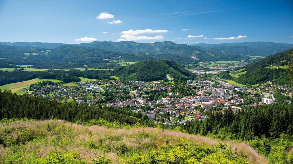Überblick über Mürzzuschlag | © Werner Flieser
