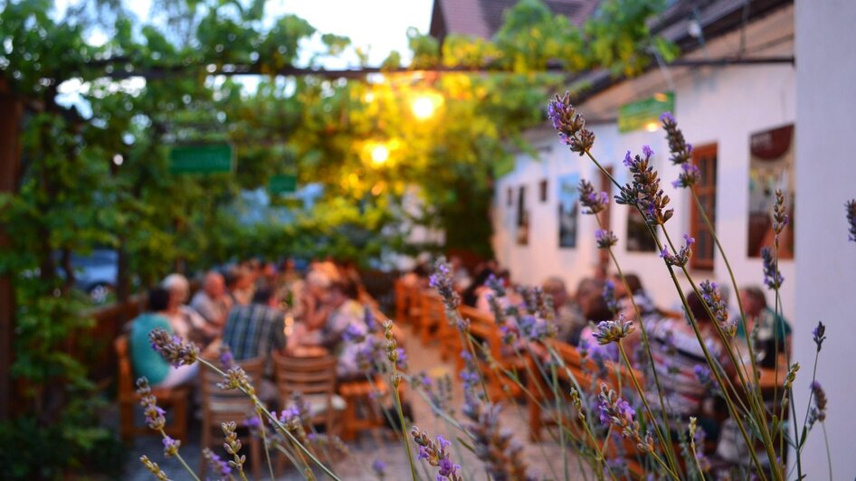MUSIC DAYS at the Buschenschank Breitenberger - Impressionen #2.2