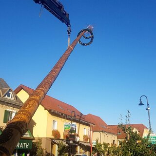 Maibaum | © FF Gamlitz
